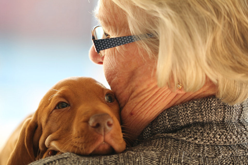 Was machen eigentlich Therapiehunde?