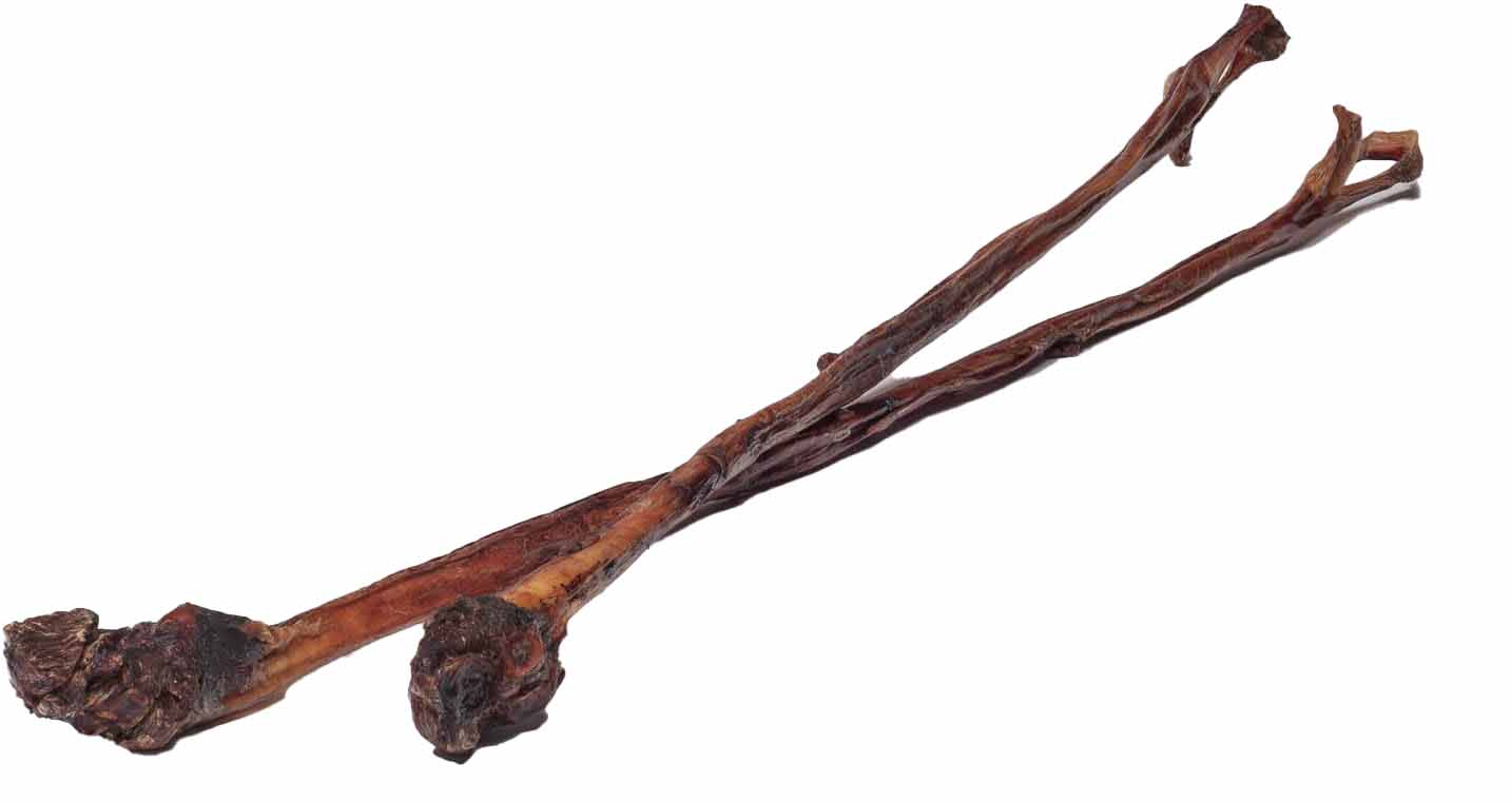 Ochsenziemer für Hunde