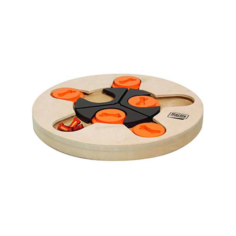 Intelligenzspielzeug