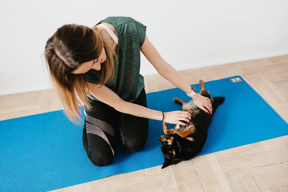 Hundephysio