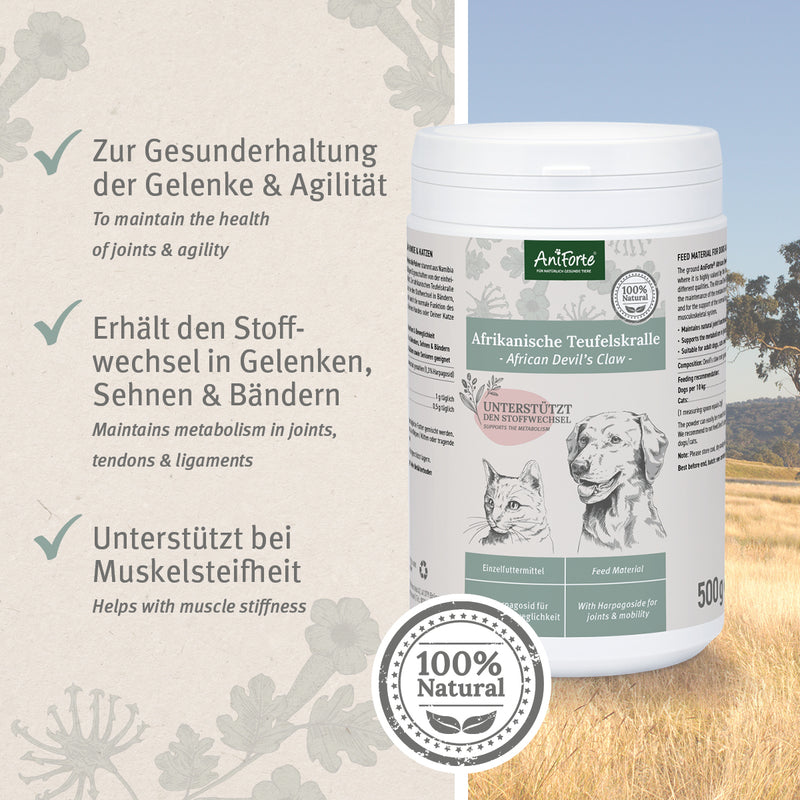 AniForte® Afrikanische Teufelskralle