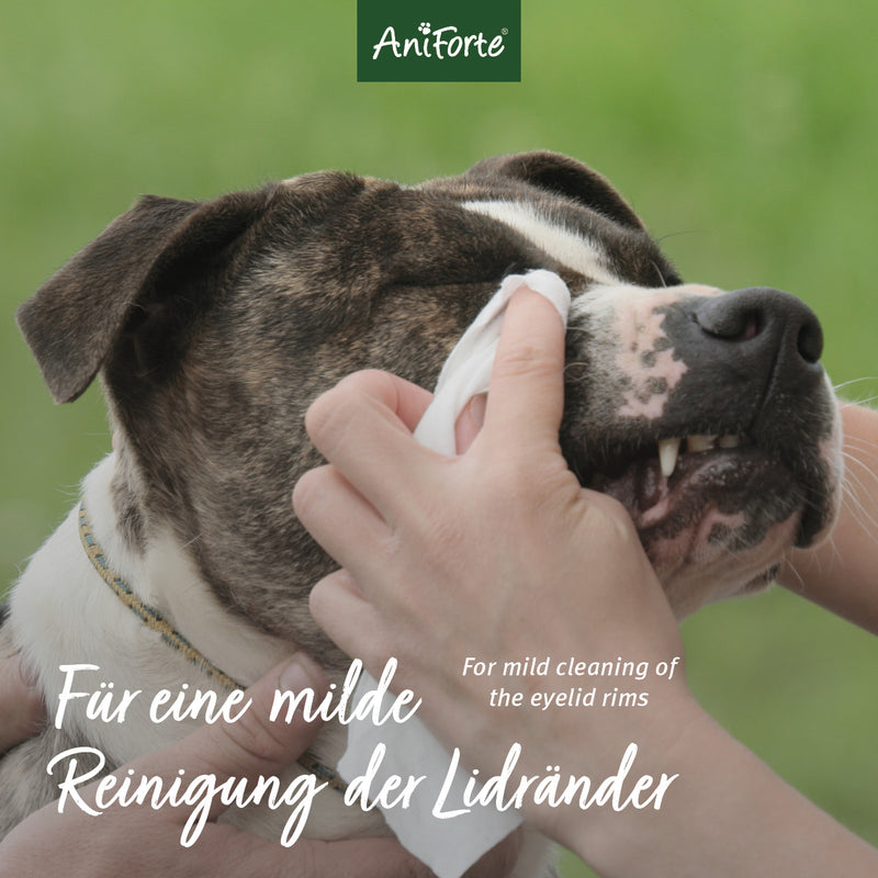 AniForte® Sanfte Augenpflege 30 ml