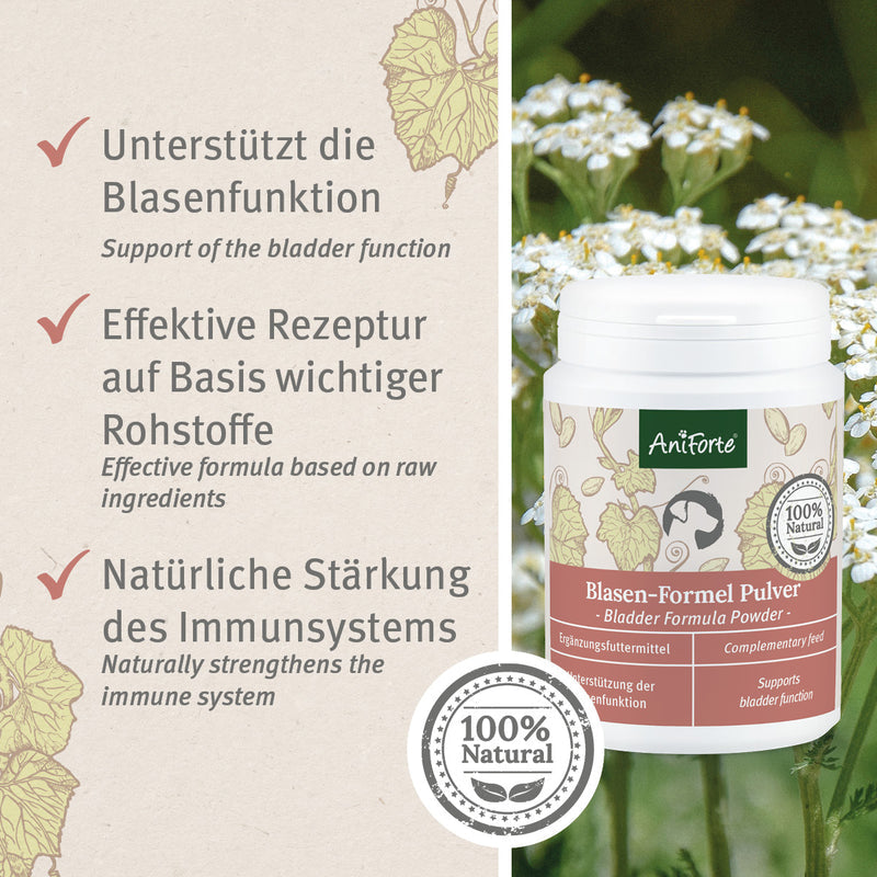 AniForte® Blasen-Formel Pulver 100 g