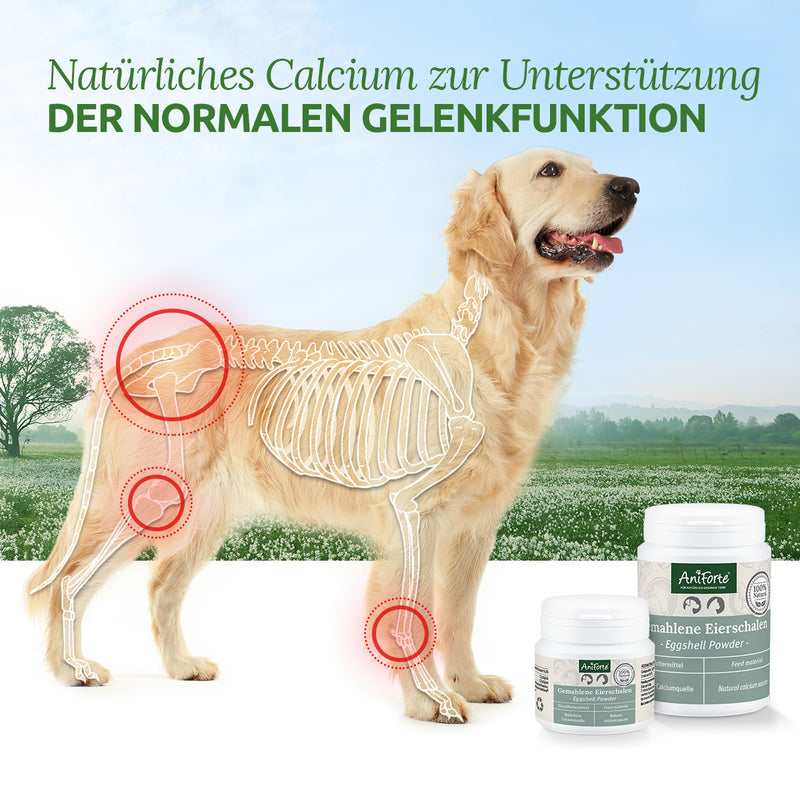 AniForte® Eierschalen Pulver