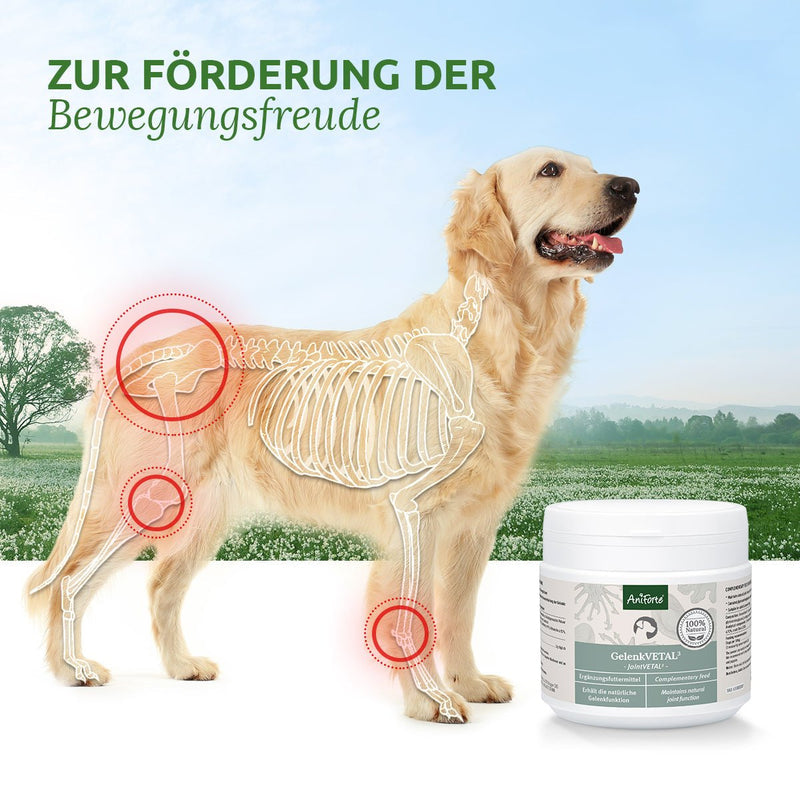 AniForte® GelenkVETAL 3 250 g
