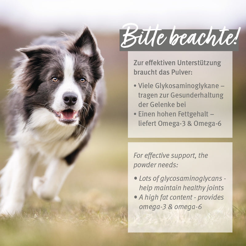 AniForte® Grünlippmuschel Pulver