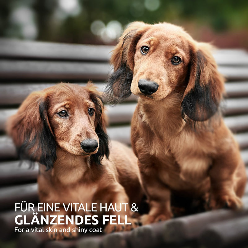 AniForte® Nachtkerzenöl