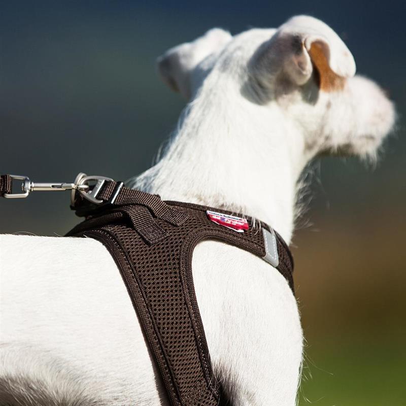 Curli Vest Harness - Brustgeschirr für kleine und mittlere Hunde