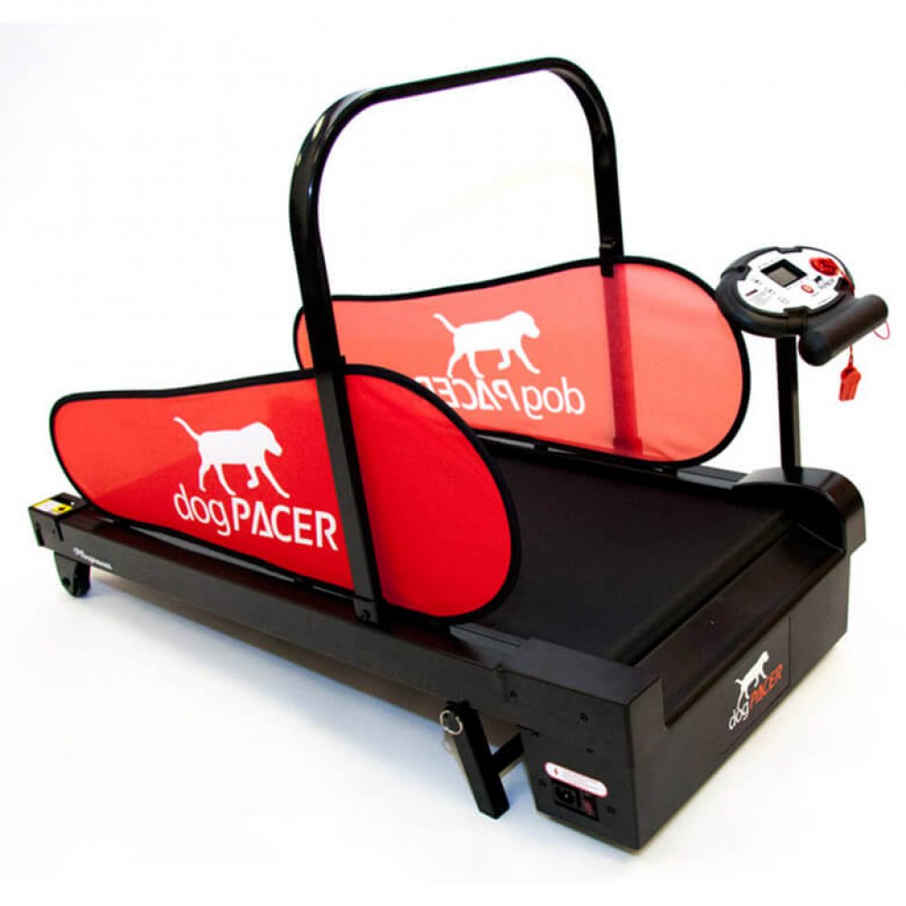 dogPACER LF 3.1 Laufband für Hunde