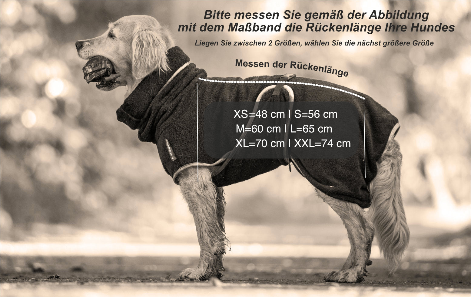 Dryup Cape Hundebademantel Standard in verschieden Farben und Größen
