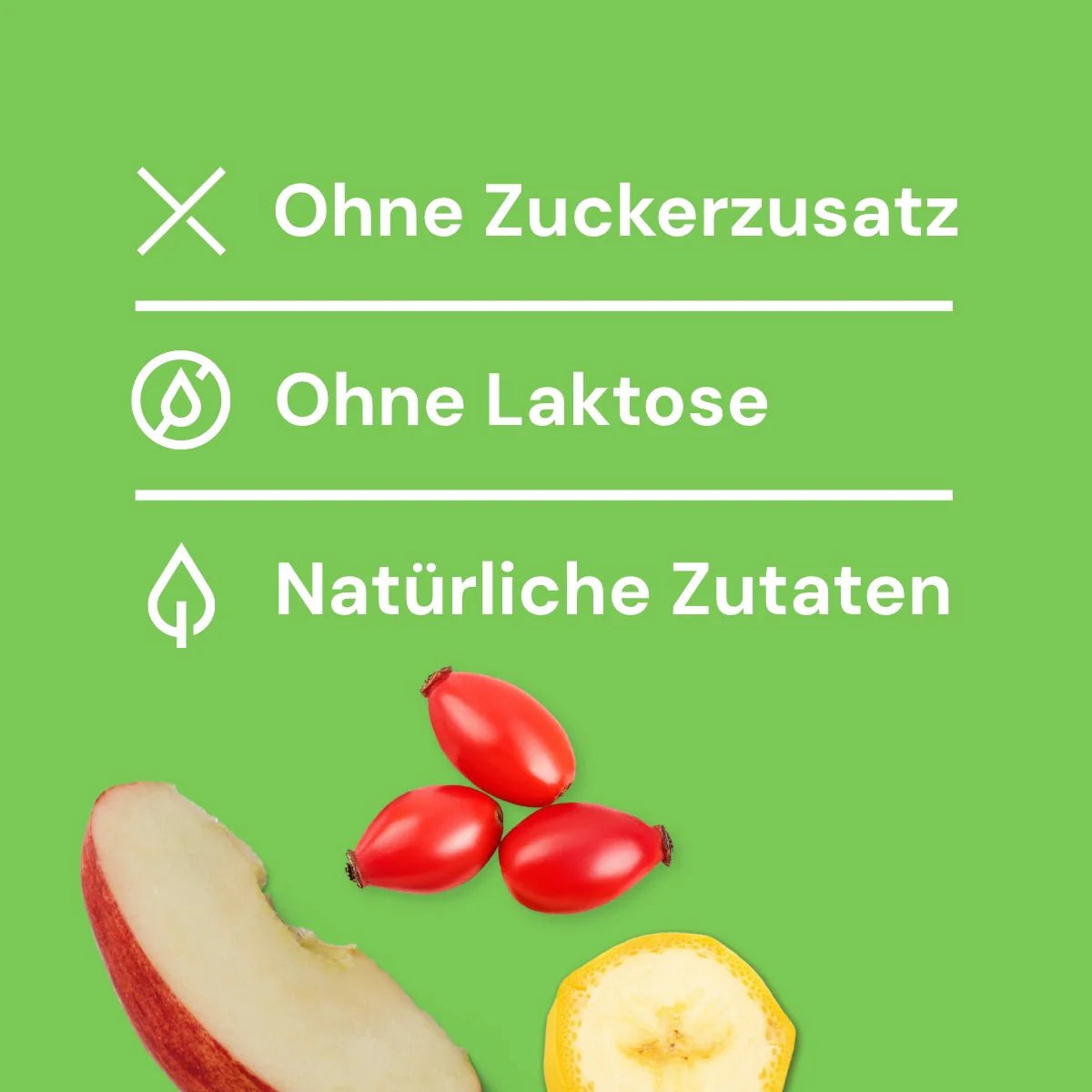 Hundeeis - Apfel Banane Hagebutte