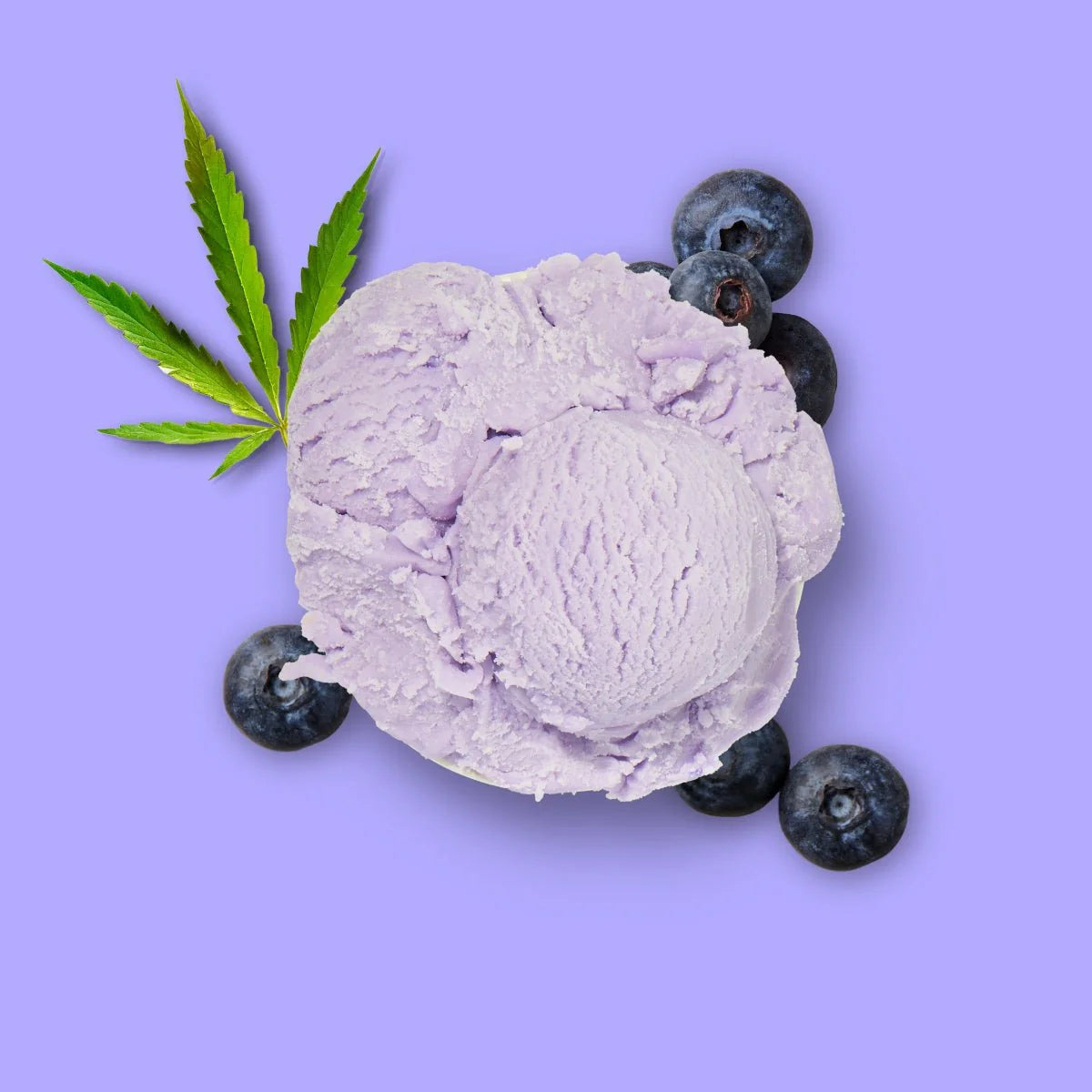 Hundeeis - Hanf Blaubeere