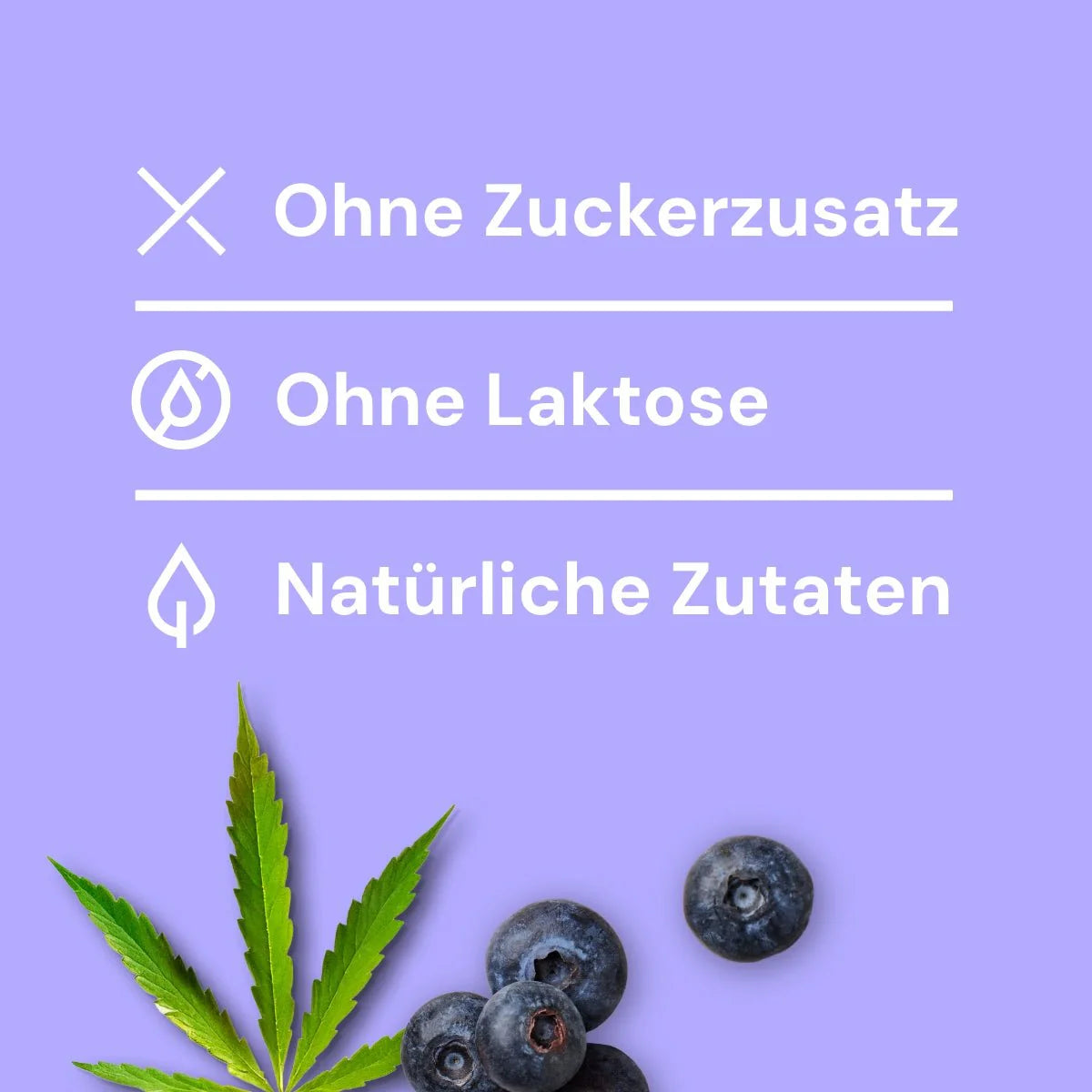 Hundeeis - Hanf Blaubeere