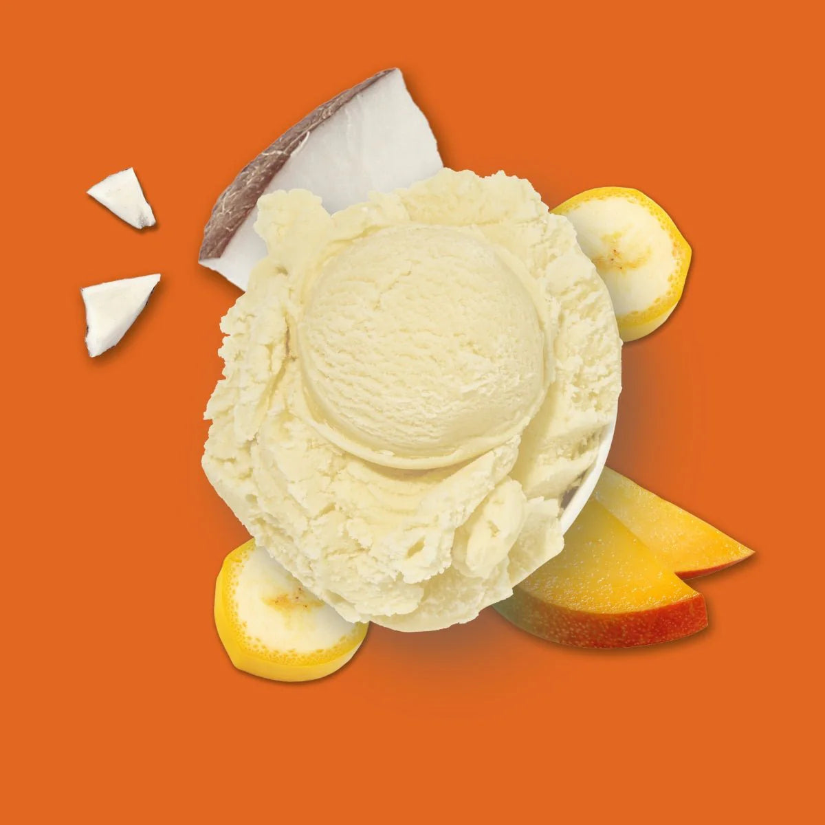 Hundeeis - vegan - Banane Kokos Mango
