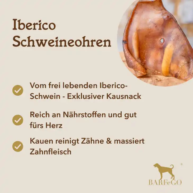 Iberico Schweineohren