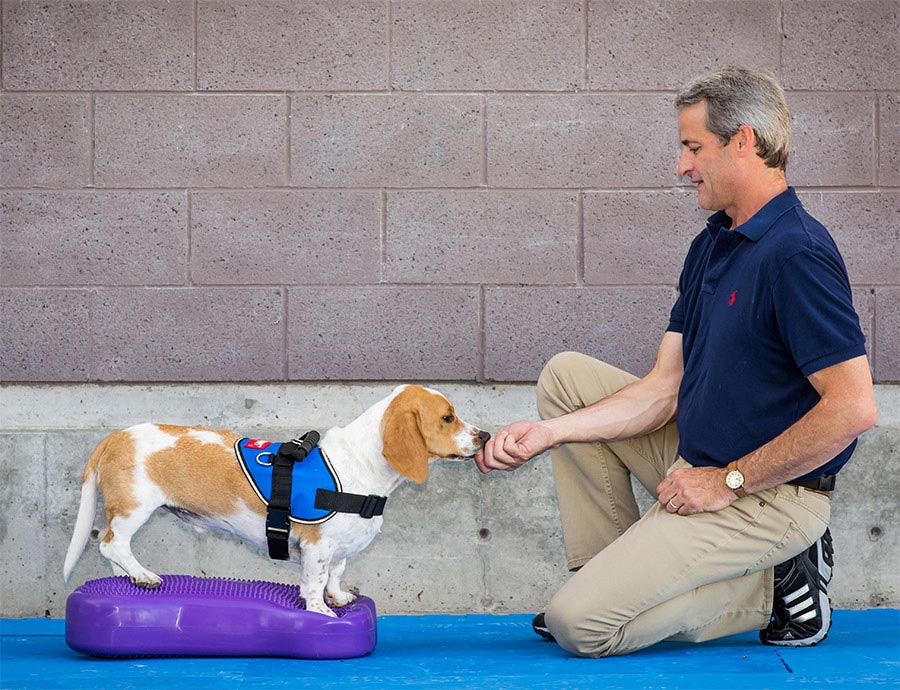 FitPAWS® K9 FITbone - Balance Pad