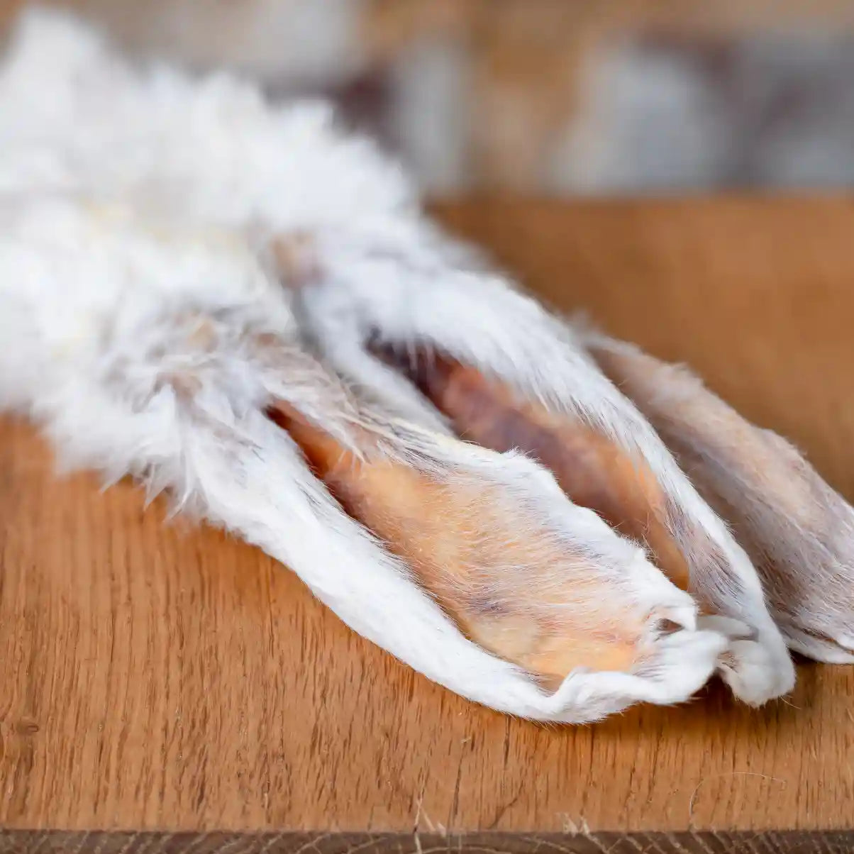 Kaninchen-Ohr mit Fell, getrocknet