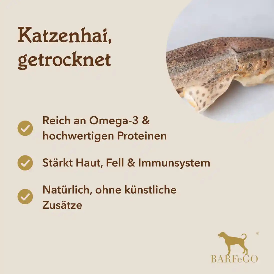 Katzenhai, getrocknet, 1 Stk