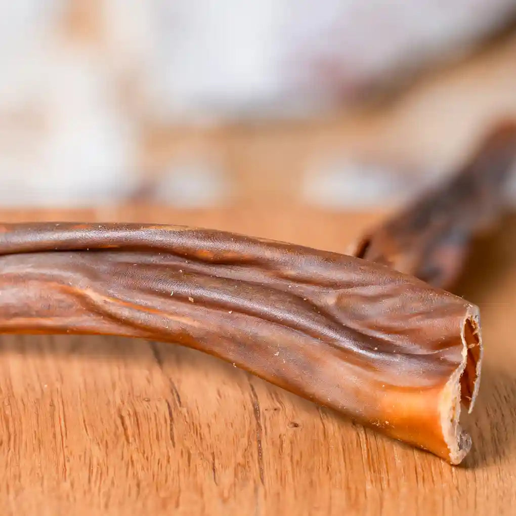 Pferd Kopfhaut ohne Fell, getrocknet