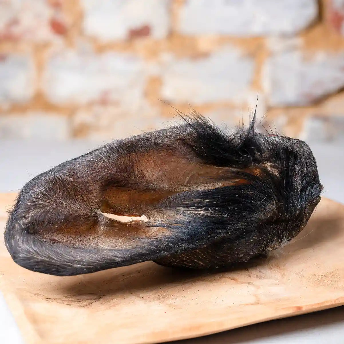 Pferde-Ohren mit Fell