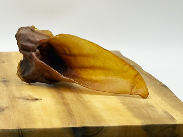 Pferde-Ohren ohne Fell