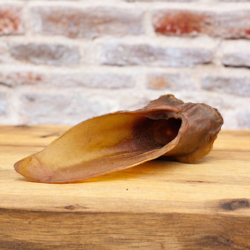 Pferde-Ohren ohne Fell