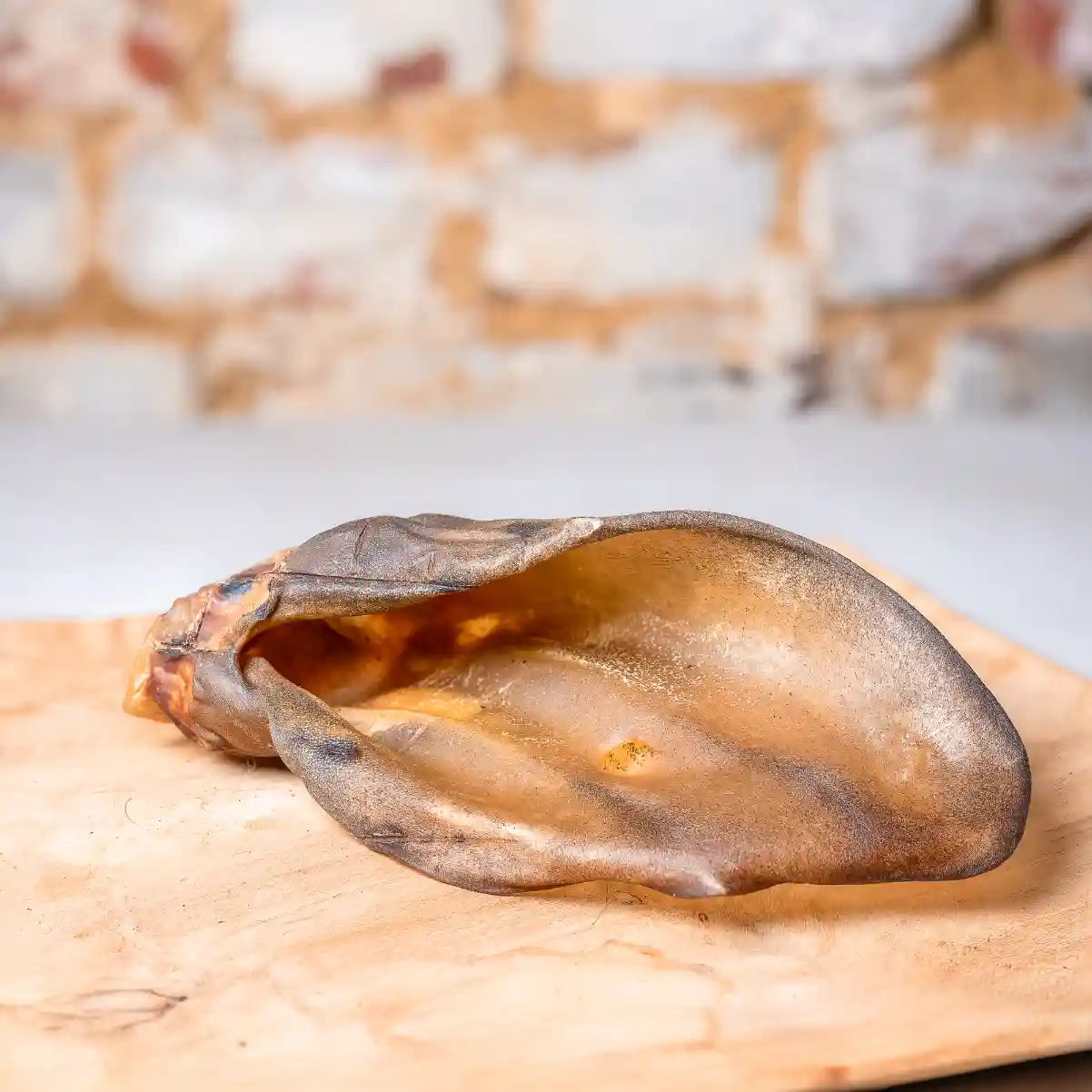 Rinder Ohren mit Muschel