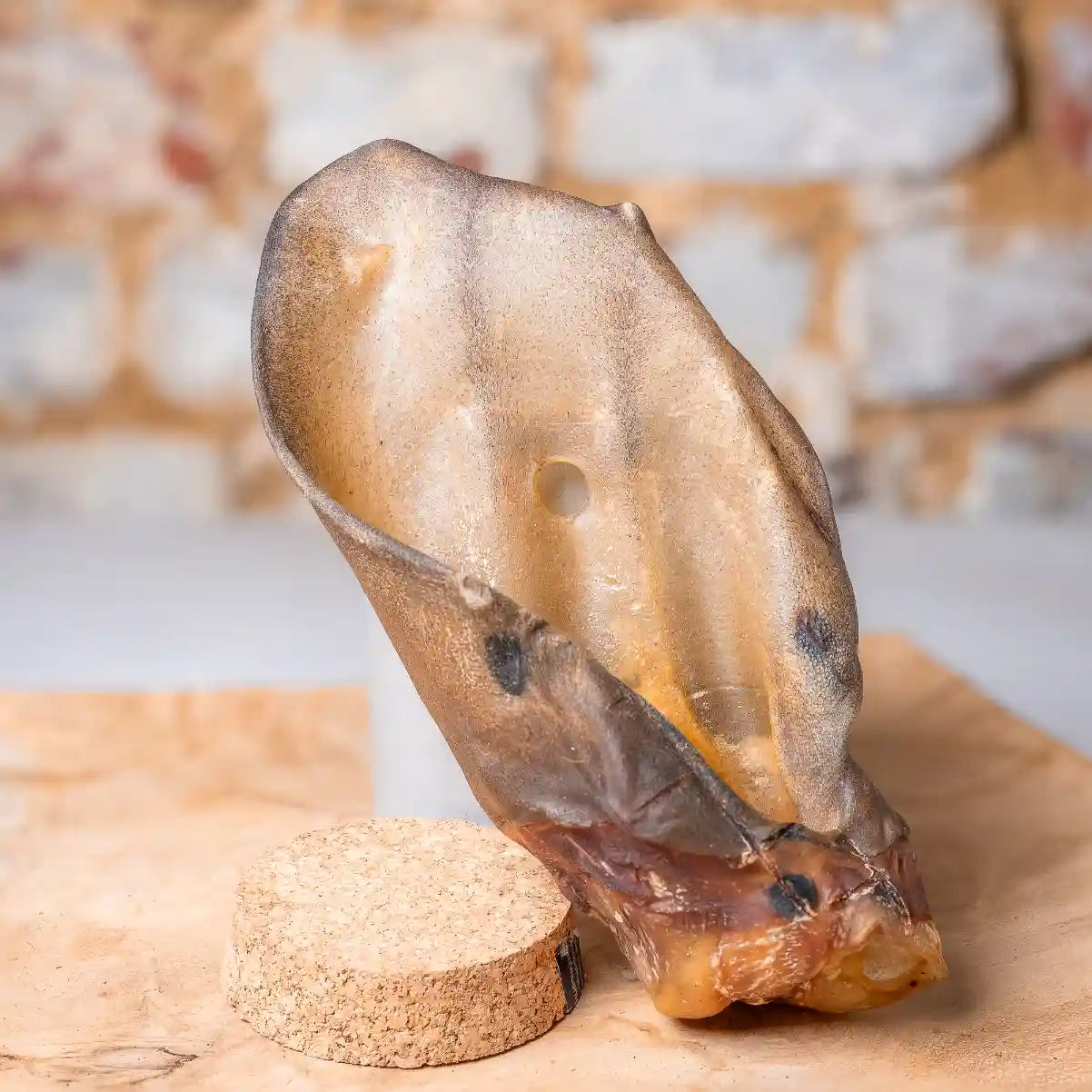 Rinder Ohren mit Muschel