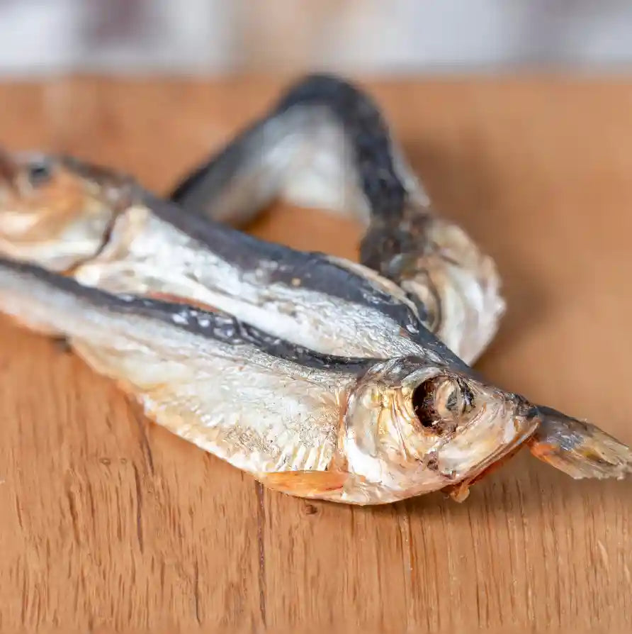 Getrocknete Sprotten