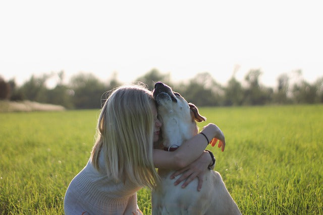 Warum Kinder häufiger von Hunden gebissen werden – und wie man Risiken minimieren kann