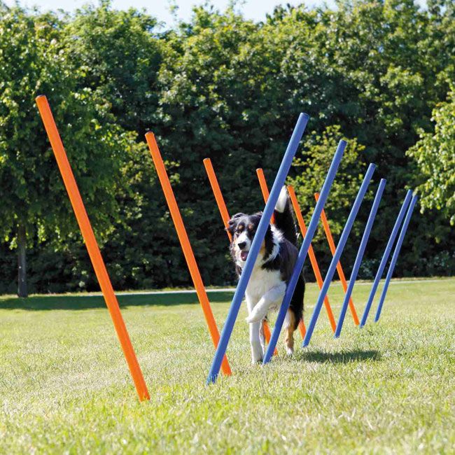 Slalom Agility Stangen Set