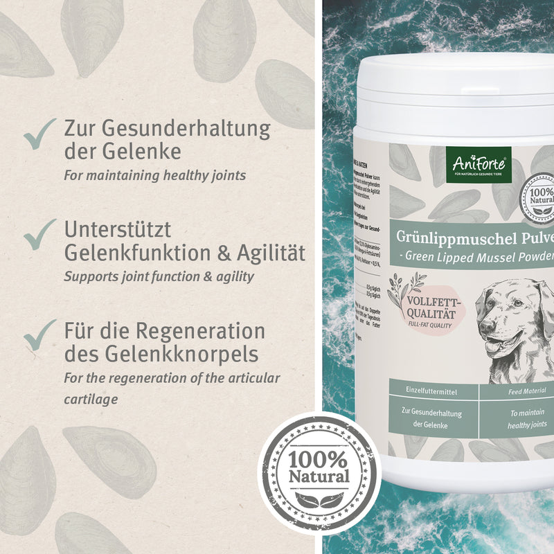 AniForte® Grünlippmuschel Pulver