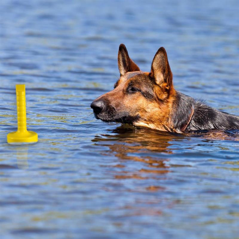 Aqua Mot - Schwimmfähiger Apport-Dummy