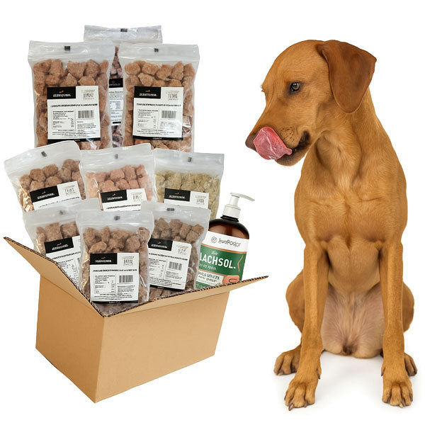BARF Probierpaket für Hunde