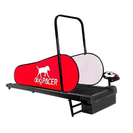 dogPACER LF 3.1 Laufband für Hunde