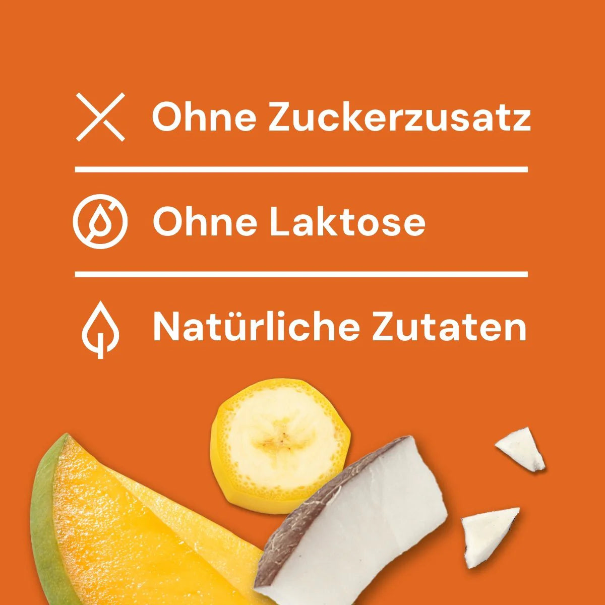 Hundeeis - vegan - Banane Kokos Mango