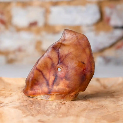 Iberico Schweineohren