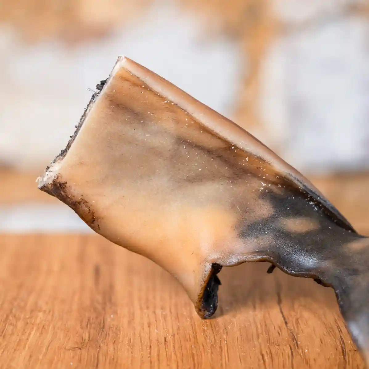 Kamel Kopfhaut, extra hart