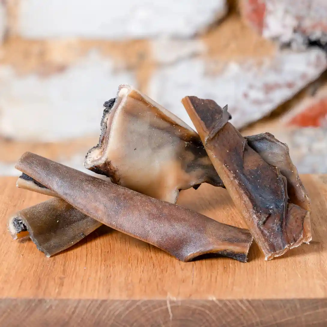 Kamel Kopfhaut, extra hart