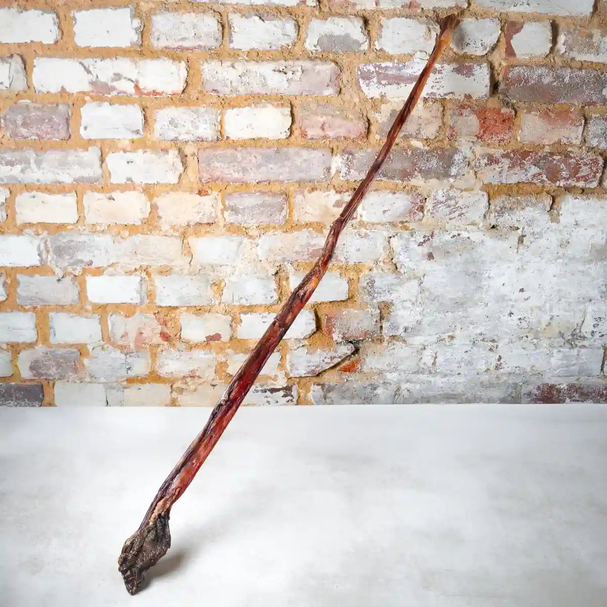 Ochsenziemer, 1 Meter