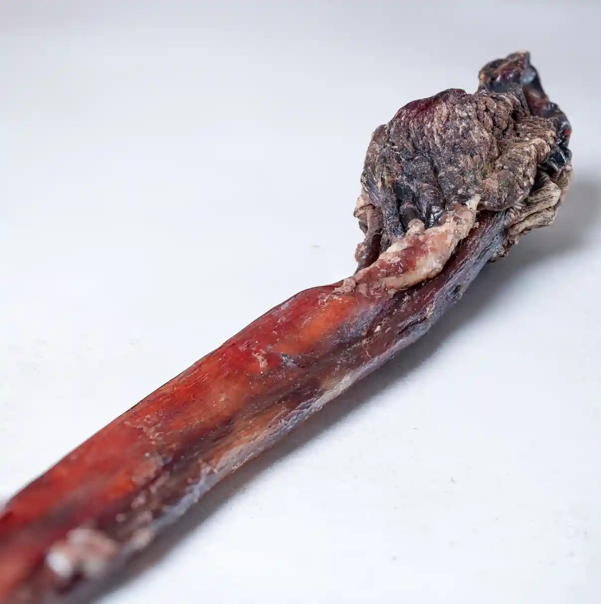 Ochsenziemer, 1 Meter