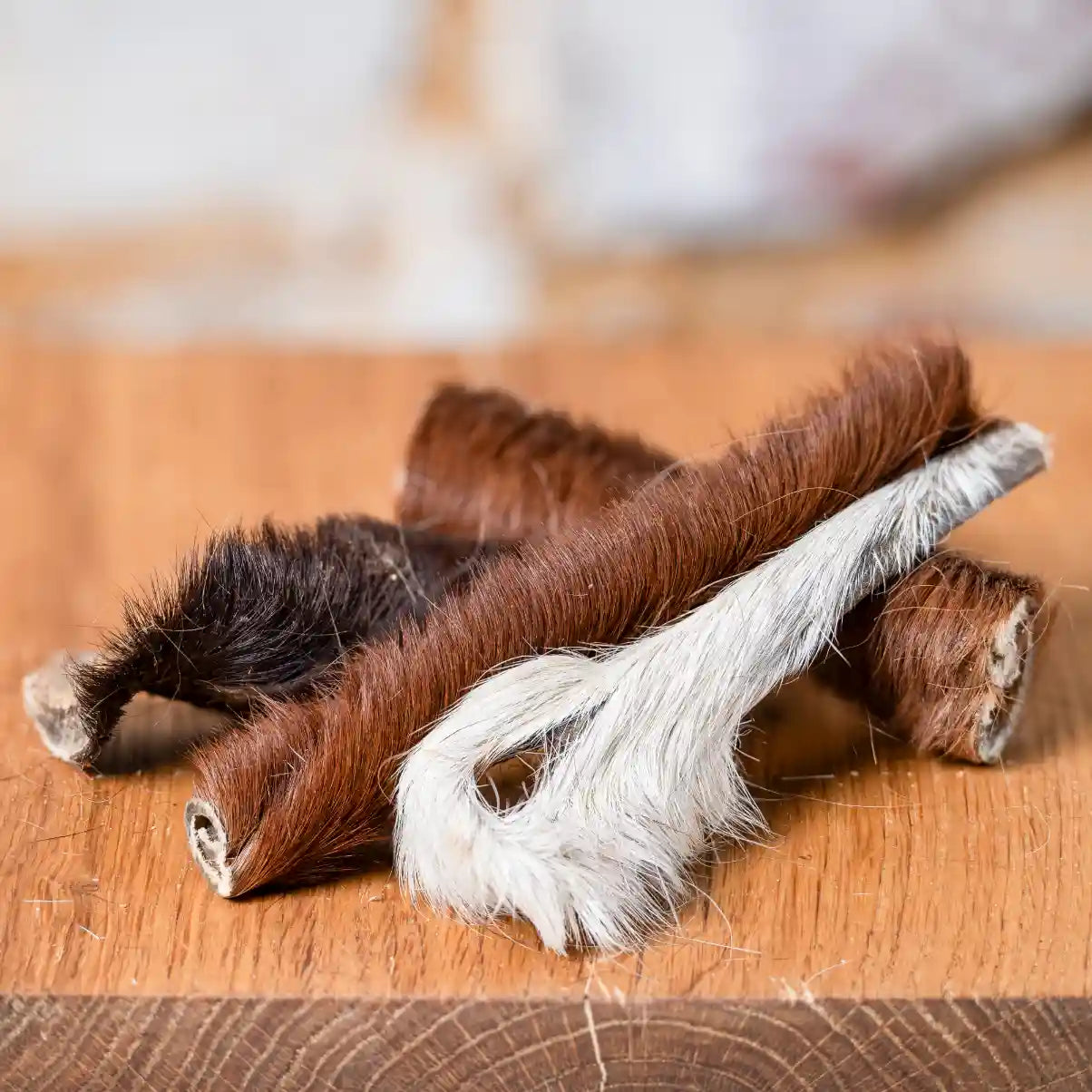 Pferd Kopfhaut mit Fell, getrocknet