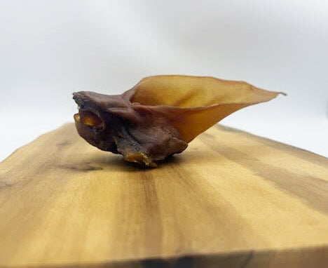 Pferde-Ohren ohne Fell