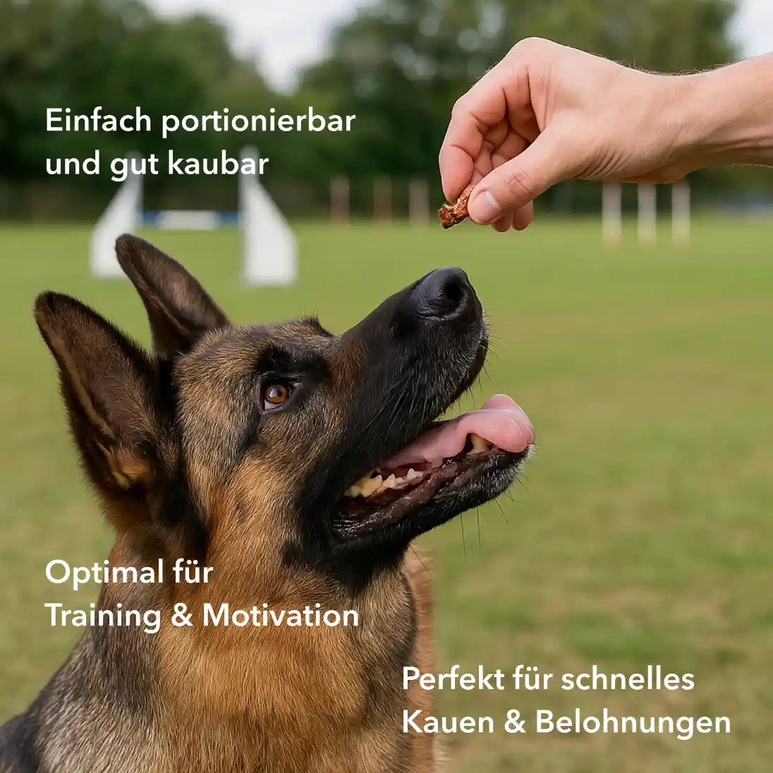 Entenfleisch Leckerli, Trainingssnack