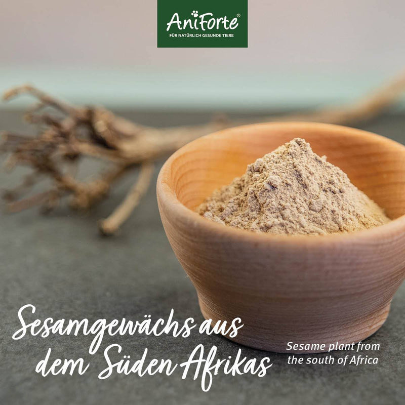 AniForte® Afrikanische Teufelskralle