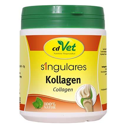 cdVet Singulares Kollagen